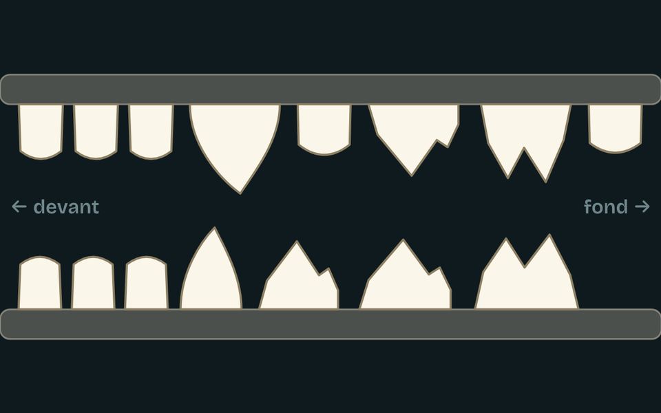 Le banc de l’atelier : Dis-moi tes dents, je te dirai ce que tu manges