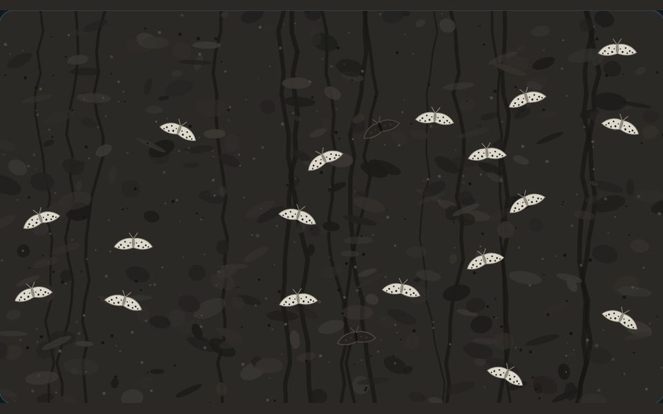 Le banc de l’atelier : Hérédité et évolution