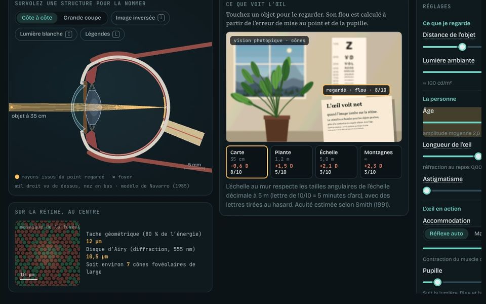 Le banc du laboratoire : L’œil