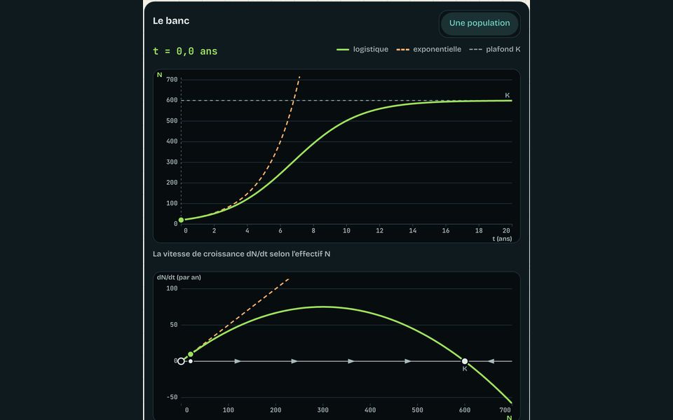Le banc du module : Dynamique des populations : croissance et prédation
