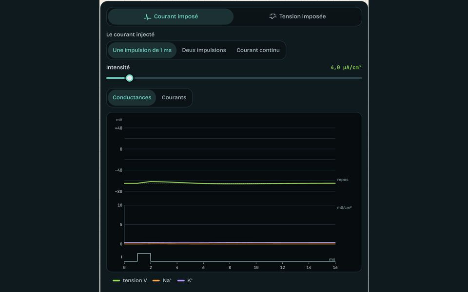 Le banc du module : Le neurone : potentiel d’action